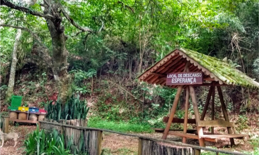 Estrada Parque Passos dos Fundadores