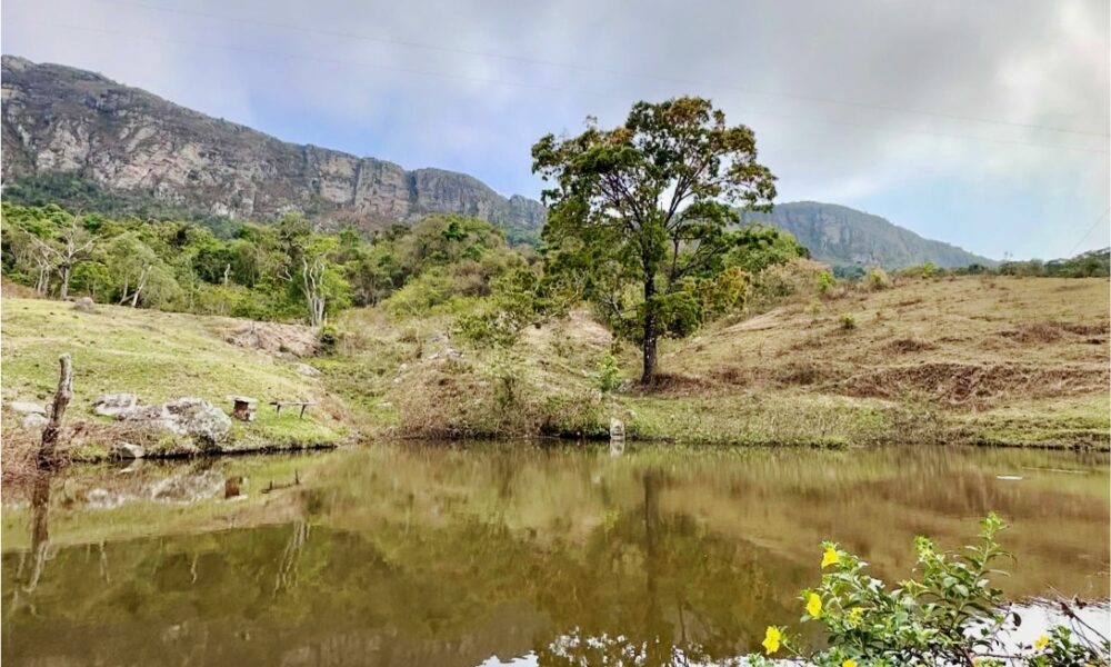 Estrada Parque Passos dos Fundadores