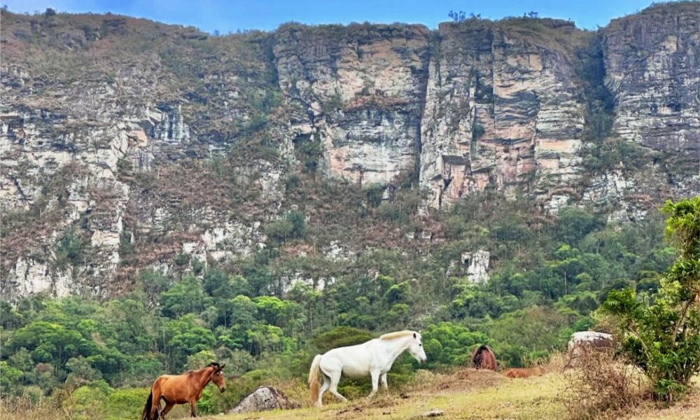 Estrada Parque Passos dos Fundadores