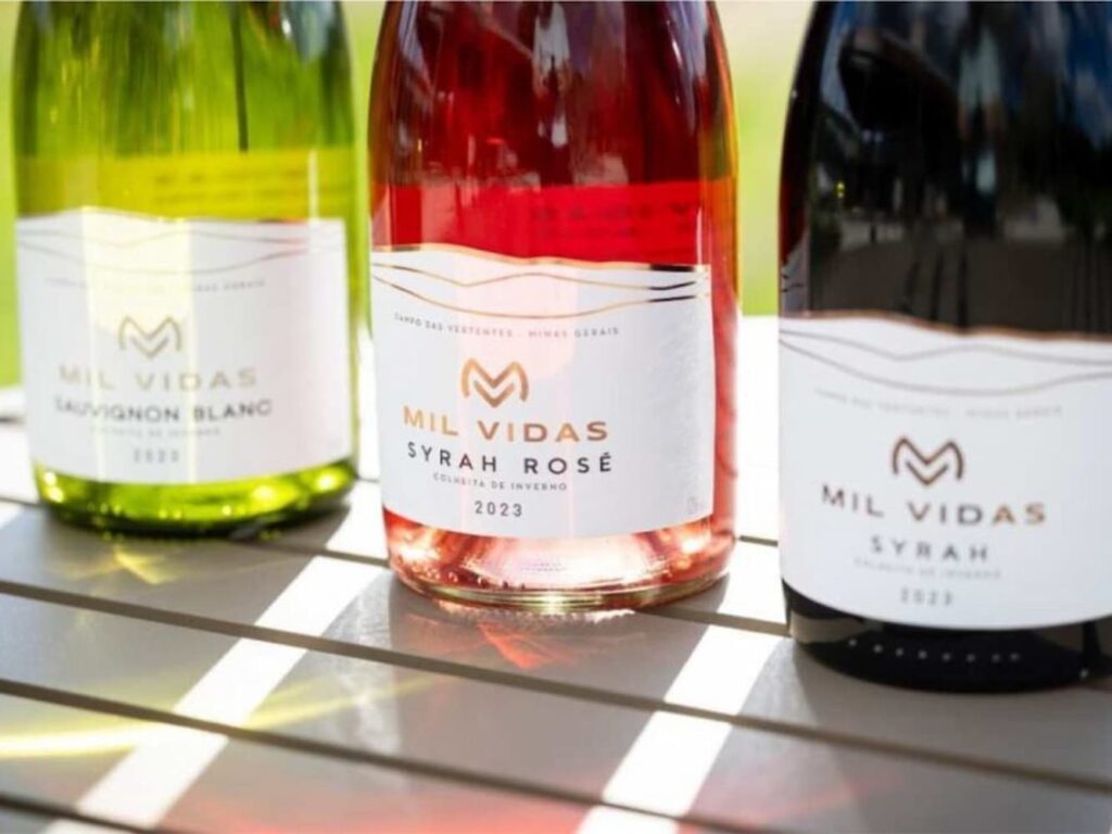 Gama de Vinhos da Vinícola Mil VIdas sendo expostos em uma mesa
